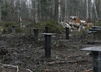 Свайный фундамент для строительства брусового дома