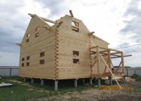 Фоторепортаж №294, 9х9, МО., Серпуховский р-н, д. Большое Грызлово — фото 12