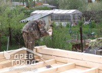 Забивка шканта