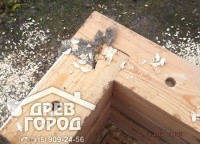 Сцепка бруса
